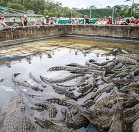 Hartley's Crocodile Adventures Day Trip from Cairns - Food Delivery Shop