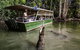 Hartley's Crocodile Adventures Day Trip From Cairns - thumb 2