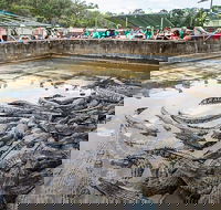 Hartley's Crocodile Adventures Day Trip from Palm Cove - Food Delivery Shop