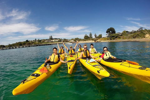 Mornington Peninsula Kayak Coastline Tour Of Dolphin Sanctuary - Pet Food Australia 2
