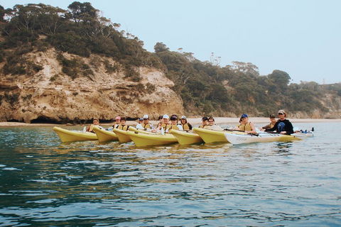 Mornington Peninsula Kayak Coastline Tour Of Dolphin Sanctuary - Pet Food Australia 4