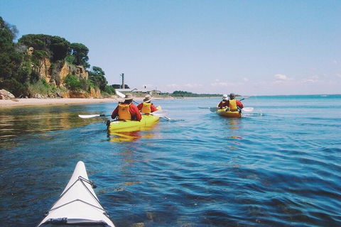 Mornington Peninsula Kayak Coastline Tour Of Dolphin Sanctuary - Pet Food Australia 5