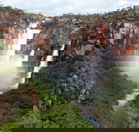 Kakadu Yellow Waters  Katherine Gorge Helicopter Scenic - Pet Food Australia