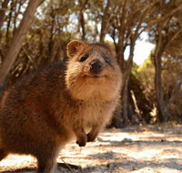 Pinnacles  Rottnest Island Scenic Air  Ground Tour - Food Delivery Shop