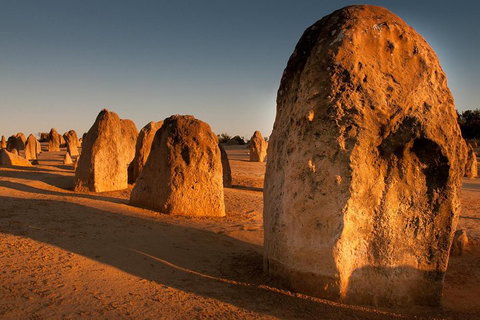 Wave Rock And Pinnacles Air & Ground Tour - Food Delivery Shop 1