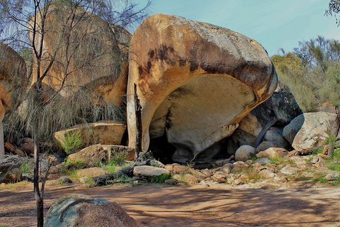 Wave Rock And Pinnacles Air & Ground Tour - Food Delivery Shop 3
