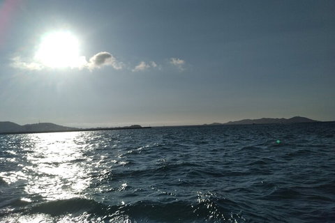 Townsville Small Group Early Morning Sailing Cruise Boat Tour Charter Hire - Food Delivery Shop 4