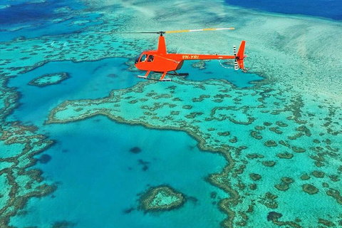 Reef & Whitehaven Landing - Food Delivery Shop 4