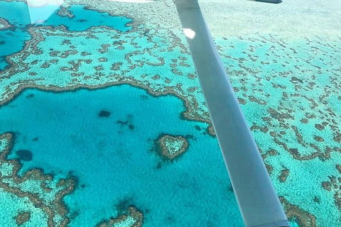 Whitsunday Islands 1-Hour Reef Scenic Helicopter Tour - Food Delivery Shop 3