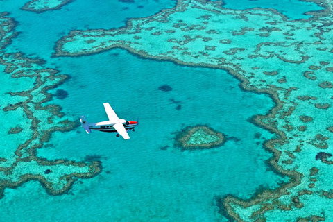 Fly & Sail Package (With Providence) - Food Delivery Shop 4