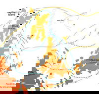Reef and Island Scenic Flight from Airlie Beach - Pet Food Australia