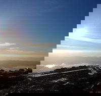 Mount Wellington Descent Cycling Tour departs Hobart - Pet Food Australia