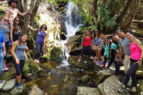 7-Day Super Value Tour Of Tasmania: Explore Tasmania's West And East Coasts - Pet Food Australia 2