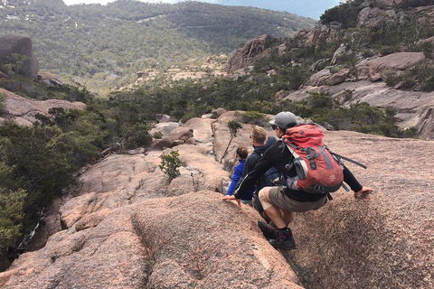 2-Day Tas East Coast Escape Tour Including Bay Of Fires, Wineglass Bay & Devils - Pet Food Australia 2