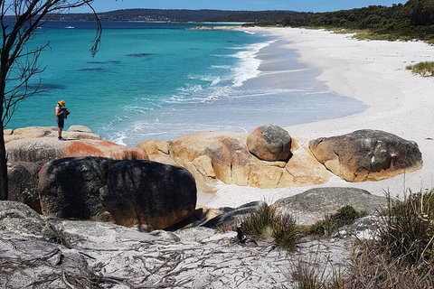 2-Day Tas East Coast Escape Tour Including Bay Of Fires, Wineglass Bay & Devils - Pet Food Australia 4
