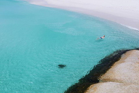 2-Day Tas East Coast Escape Tour Including Bay Of Fires, Wineglass Bay & Devils - Pet Food Australia 5