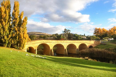 4-Day Fabulous Tasmania Tour: Wineglass Bay, Port Arthur, Devils & Bruny Island - Pet Food Australia 1