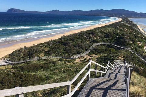 4-Day Fabulous Tasmania Tour: Wineglass Bay, Port Arthur, Devils & Bruny Island - Pet Food Australia 5