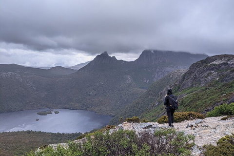 5-Day Best Of Tasmania Tour From Hobart - Pet Food Australia 3