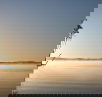 Serenity Cruise to Australia's Everglades - Pet Food Australia