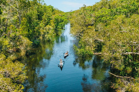 Cruise 'n' Canoe To Australia's Everglades - Pet Food Australia 3