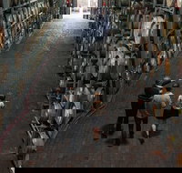 Wirra Wirra Vineyard McLaren Vale Winery Tour and Shiraz Masterclass - Food Delivery Shop