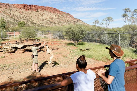 Alice Springs Desert Park General Entry Ticket - Food Delivery Shop 4