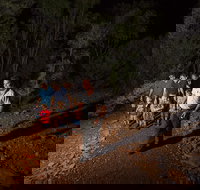 Alice Springs Desert Park Nocturnal Tour - Pet Food Australia