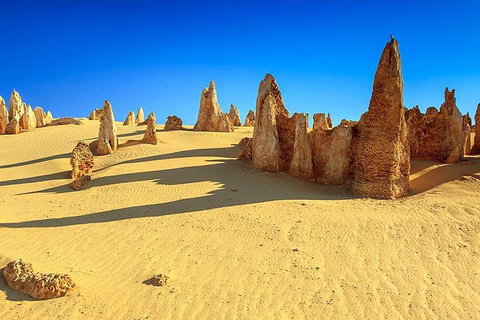Full-Day Pinnacles Desert And Yanchep National Park Tour From Perth - Food Delivery Shop 2