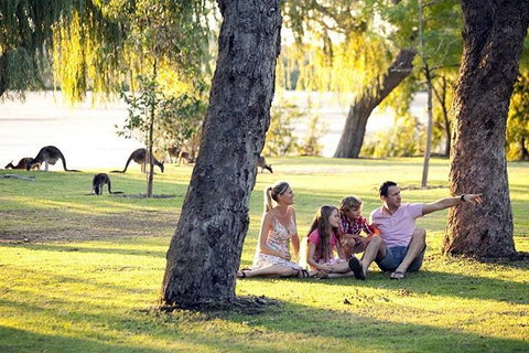 Full-Day Pinnacles Desert And Yanchep National Park Tour From Perth - Food Delivery Shop 3