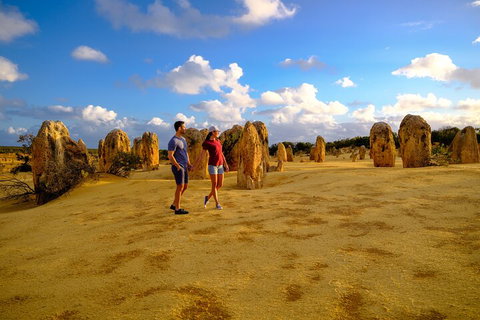 Full-Day Pinnacles Desert And Yanchep National Park Tour From Perth - Food Delivery Shop 4