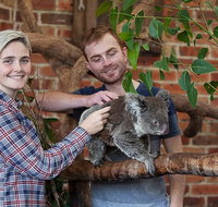 Private Tour Blue Mountains Day Trip from Sydney - Food Delivery Shop