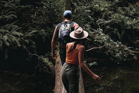 Small Group - 12 Apostles, Otways & Great Ocean Road Day Tour From Melbourne - Food Delivery Shop 5