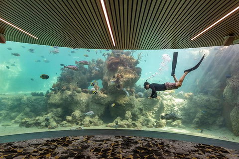 Whitehaven Beach And Daydream Island Cruise - Food Delivery Shop 4