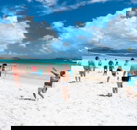 Whitehaven Beach and Hamilton Island Cruise - Pet Food Australia