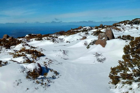 Mount Wellington Ultimate Experience Tour From Hobart - Food Delivery Shop 1