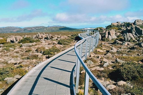 Mount Wellington Ultimate Experience Tour From Hobart - Food Delivery Shop 2