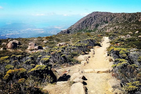 Mount Wellington Ultimate Experience Tour From Hobart - Food Delivery Shop 5
