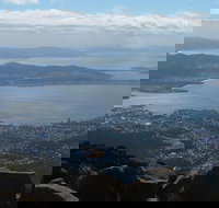 Mt Wellington Tour and MONA Admission - Pet Food Australia