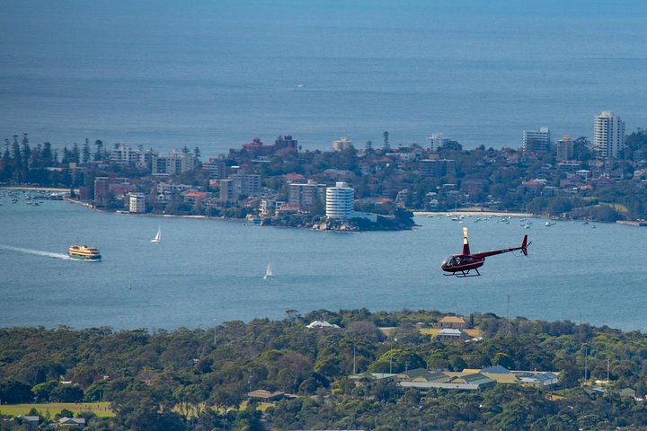 Haymarket NSW Food Delivery Shop