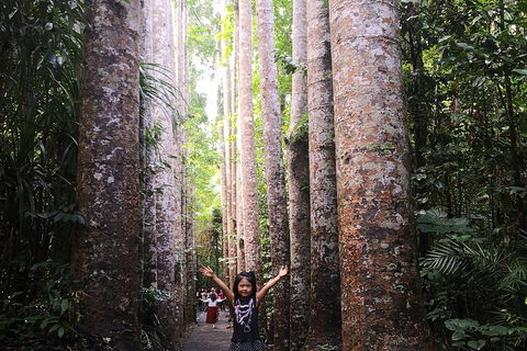 Private Tour To Paronella Park, Historic Village Herberton And Wild Life Wallaby - Food Delivery Shop 2