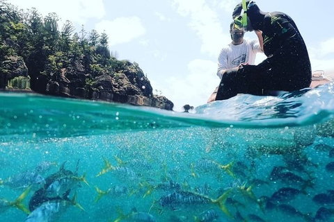 2 Night Small Group Whitsundays Sailing Adventure Aboard Mandrake - Food Delivery Shop 5