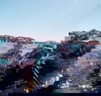 Wave Break Island Scuba Diving on the Gold Coast - Food Delivery Shop