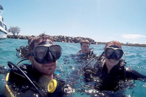 Wave Break Island Scuba Diving On The Gold Coast - Pet Food Australia 0
