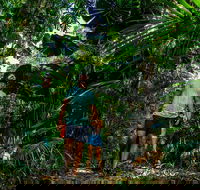 Full Day Daintree Rainforest and Mossman Gorge Tour - Food Delivery Shop