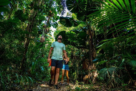 Full Day Daintree Rainforest And Mossman Gorge Tour - Food Delivery Shop 0
