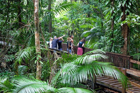 Full Day Daintree Rainforest And Mossman Gorge Tour - Food Delivery Shop 1