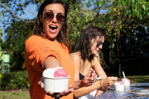 Full Day Daintree Rainforest And Mossman Gorge Tour - Food Delivery Shop 3