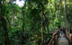 Full Day Daintree Rainforest And Mossman Gorge Tour - thumb 5