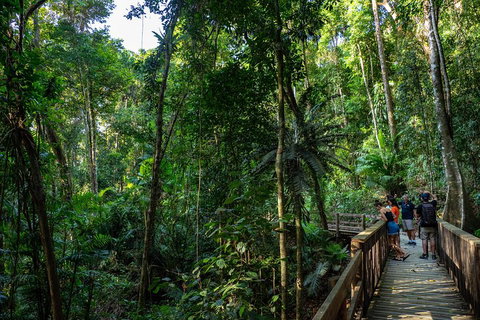 Full Day Daintree Rainforest And Mossman Gorge Tour - Food Delivery Shop 5